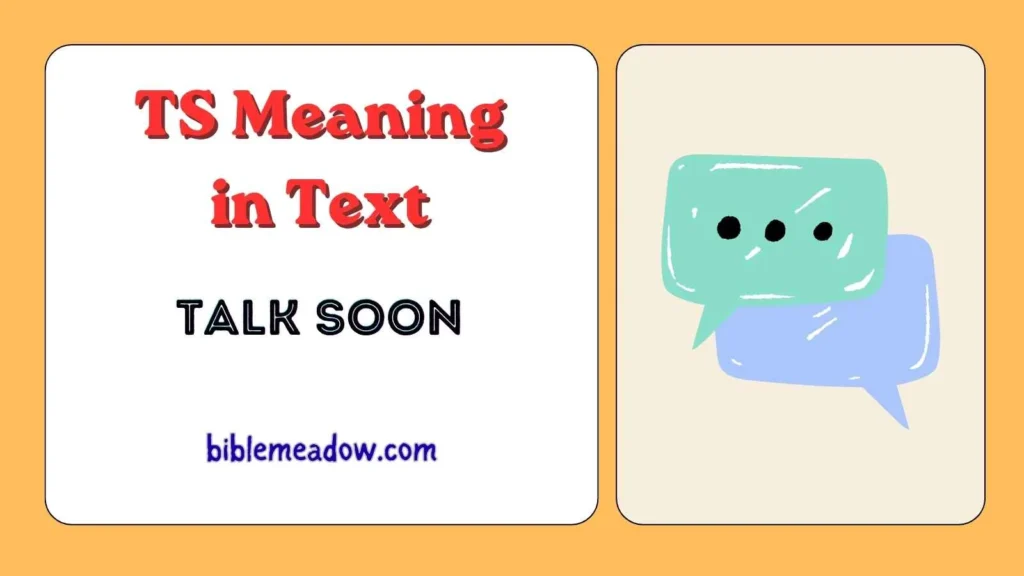 TS Meaning in Text