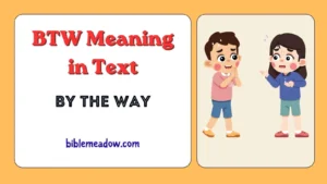 BTW Meaning in Text