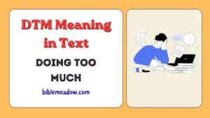 DTM Meaning in Text
