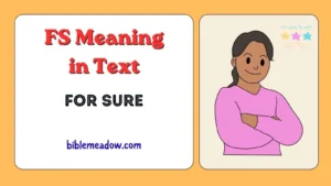 FS Meaning in Text