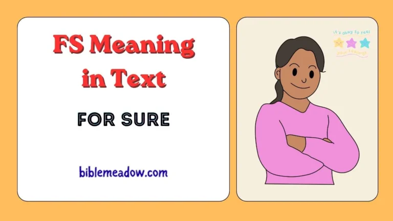 FS Meaning in Text
