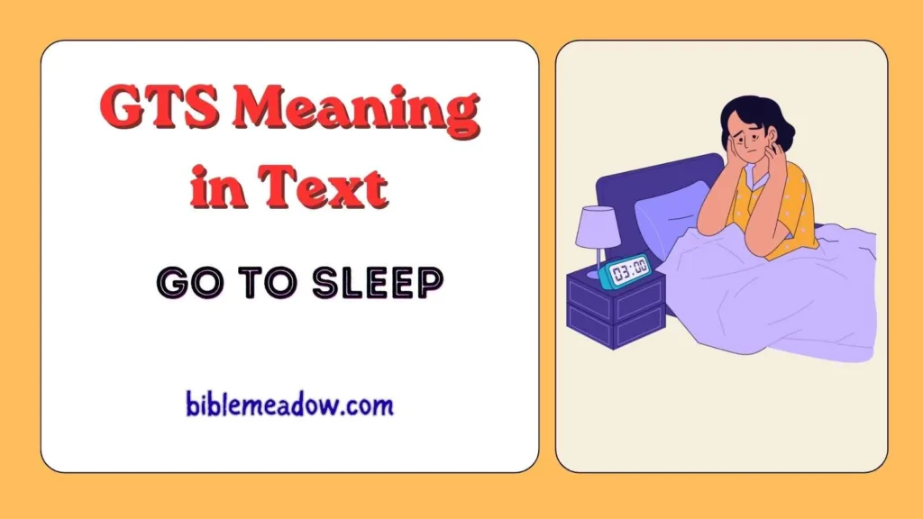 GTS Meaning in Text