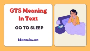GTS Meaning in Text