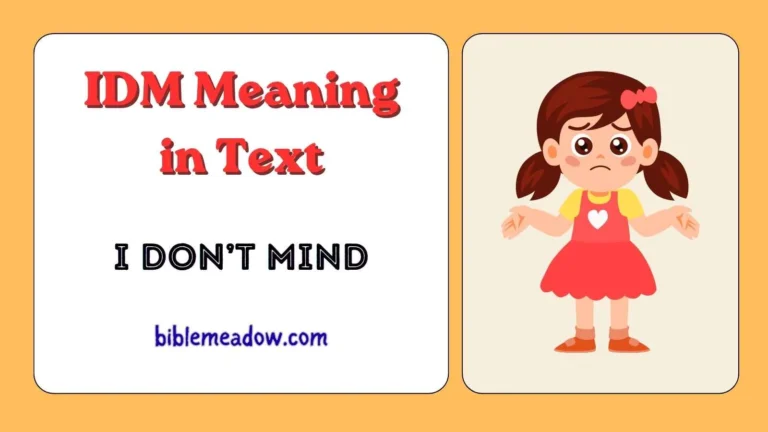 IDM Meaning in Text