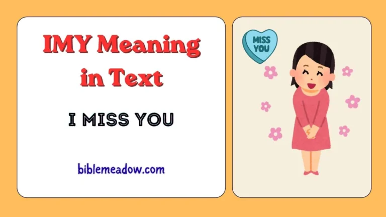 IMY Meaning in Text
