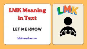 LMK Meaning in Text