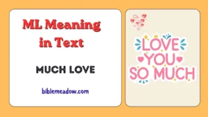 ML Meaning in Text
