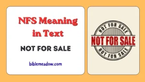 NFS Meaning in Text