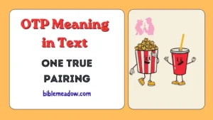 OTP Meaning in Text