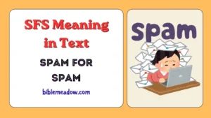 SFS Meaning in Text