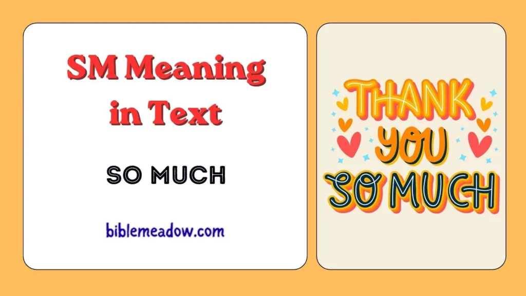 SM Meaning in Text