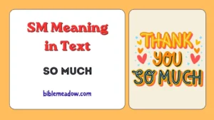 SM Meaning in Text