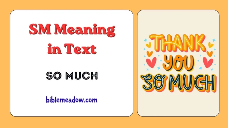 SM Meaning in Text