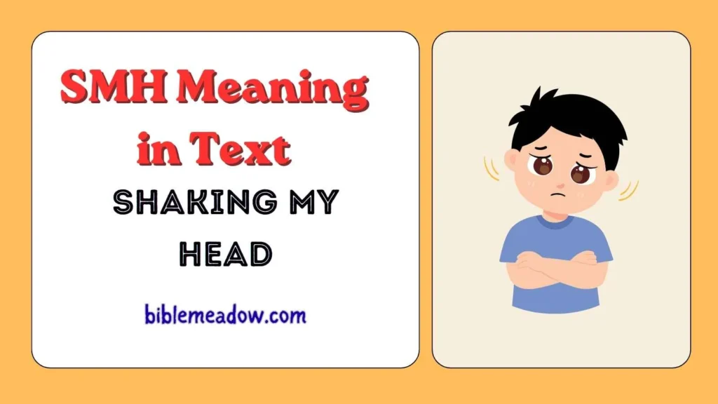 SMH Meaning in Text