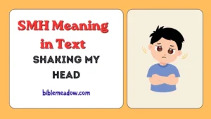 SMH Meaning in Text