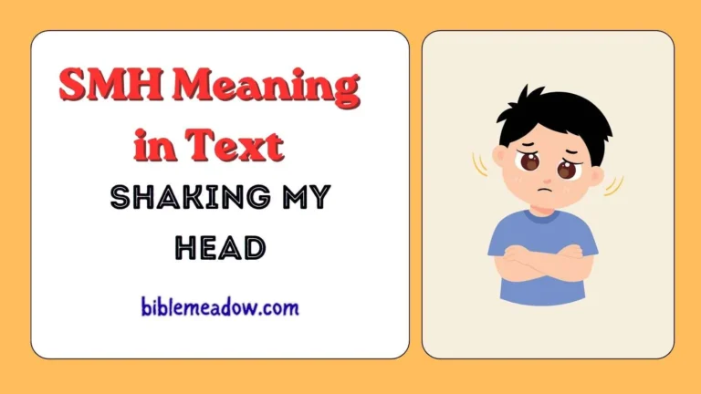 SMH Meaning in Text