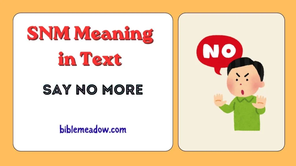 SNM Meaning in Text