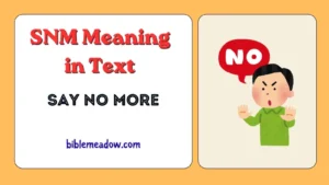 SNM Meaning in Text