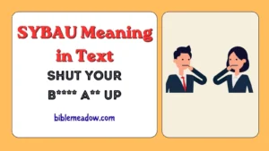 SYBAU Meaning in Text