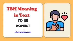 TBH Meaning in Text
