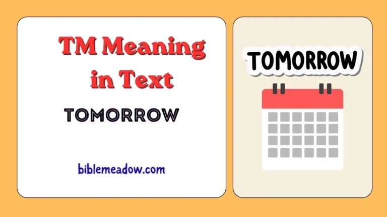 TM Meaning in Text