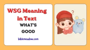 WSG Meaning in Text