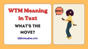WTM Meaning in Text