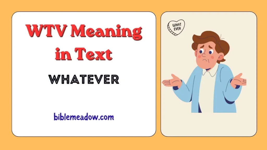 WTV Meaning in Text
