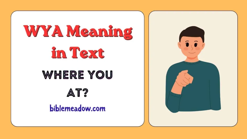 WYA Meaning in Text