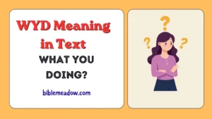 WYD Meaning in Text