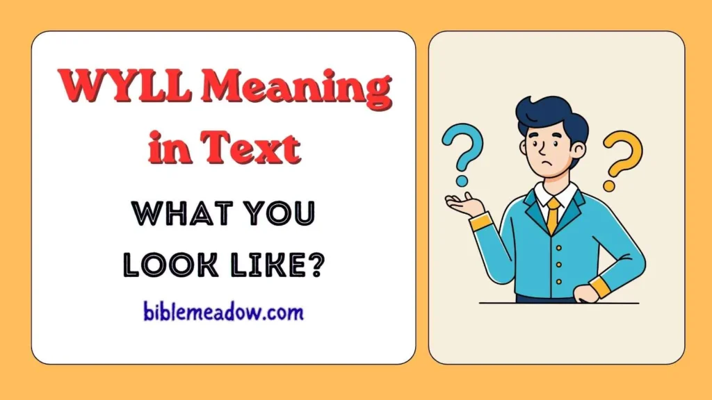 WYLL Meaning in Text