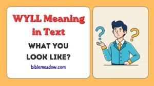 WYLL Meaning in Text