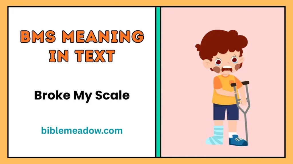 BMS Meaning in Text