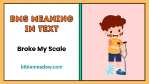 BMS Meaning in Text