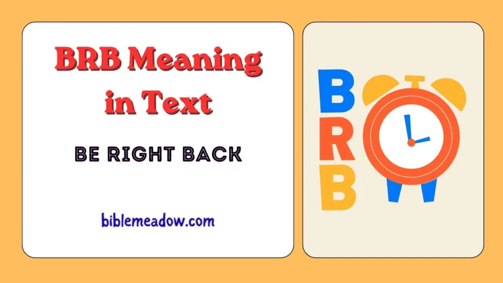 BRB Meaning in Text