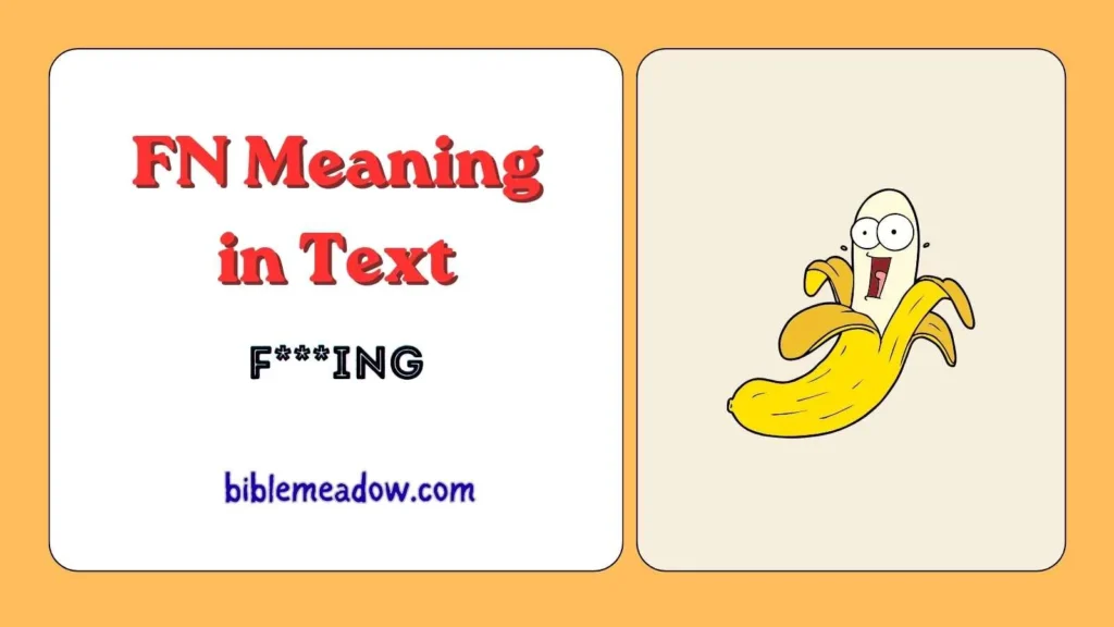 FN Meaning in Text