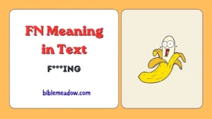 FN Meaning in Text