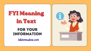 FYI Meaning in Text