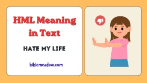 HML Meaning in Text
