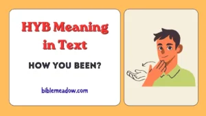 HYB Meaning in Text