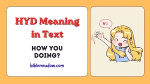 HYD Meaning in Text