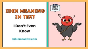 IDEK Meaning in Text