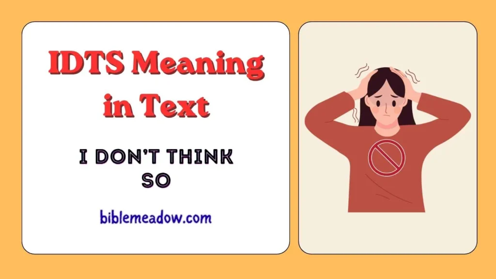 IDTS Meaning in Text