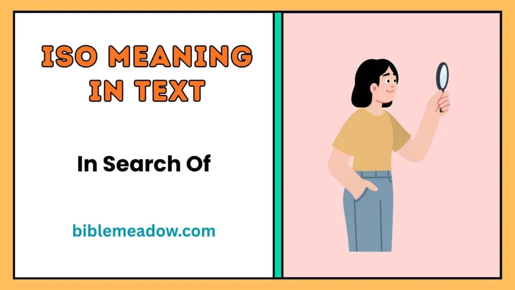 ISO Meaning in Text