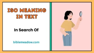 ISO Meaning in Text