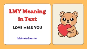 LMY Meaning in Text
