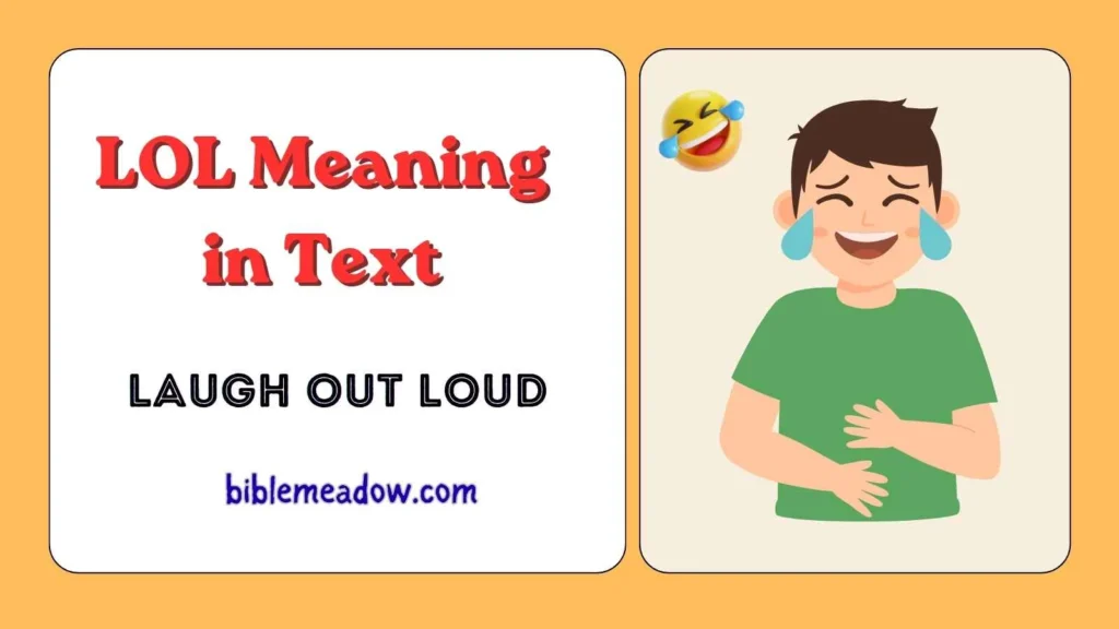 LOL Meaning in Text