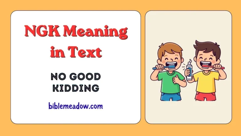 NGK Meaning in Text