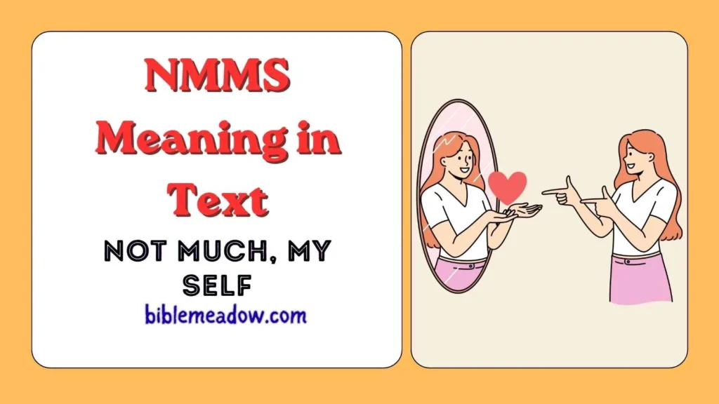 NMMS Meaning in Text
