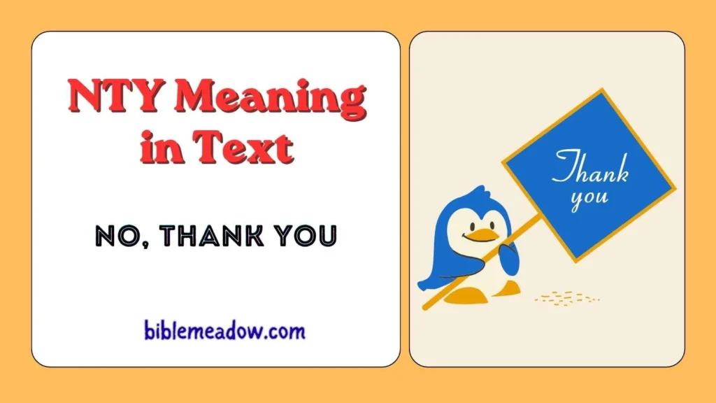 NTY Meaning in Text